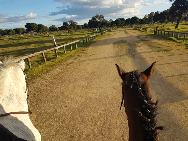  Inizio del percorso a cavallo 