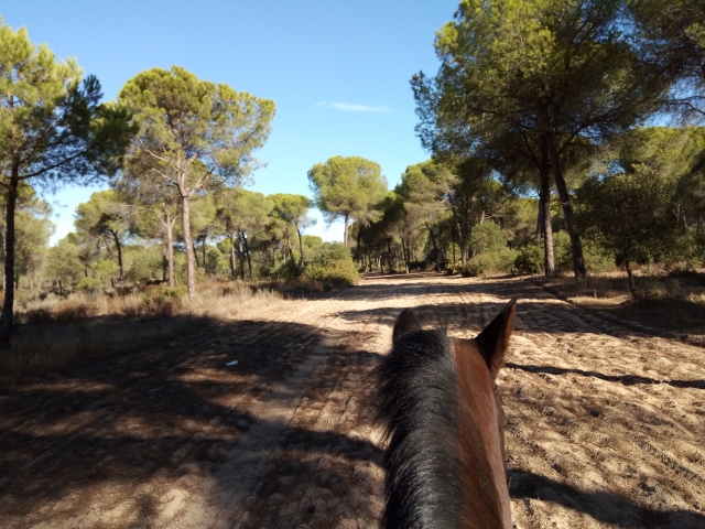  Passeggiata a cavallo a Doñana 