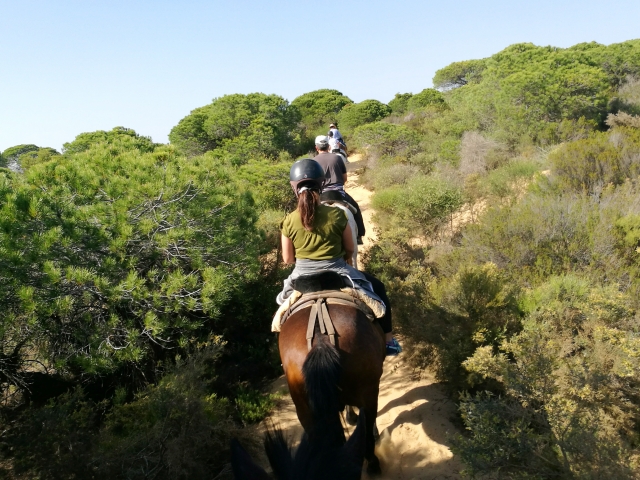  Percorso a cavallo per Doñana 