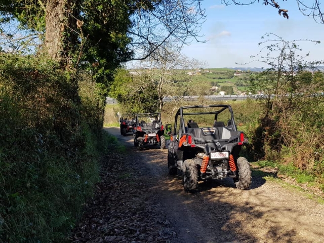 Buggy alignés le long de la route