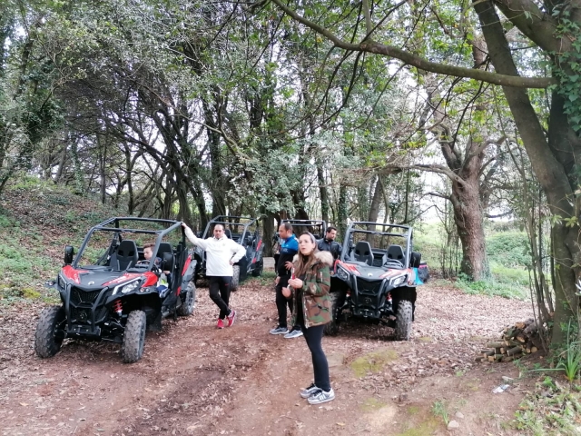  Entre les arbres avec les buggys 