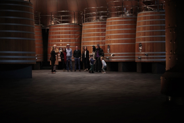 Sala de tinos de roble de las bodegas