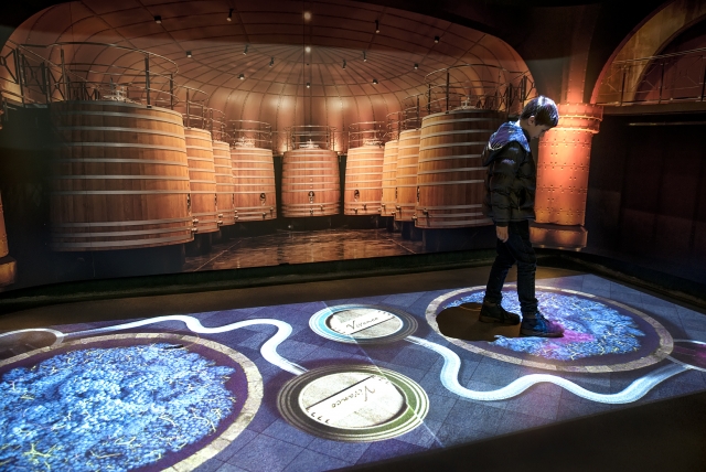 Una experiencia sensorial en la bodega