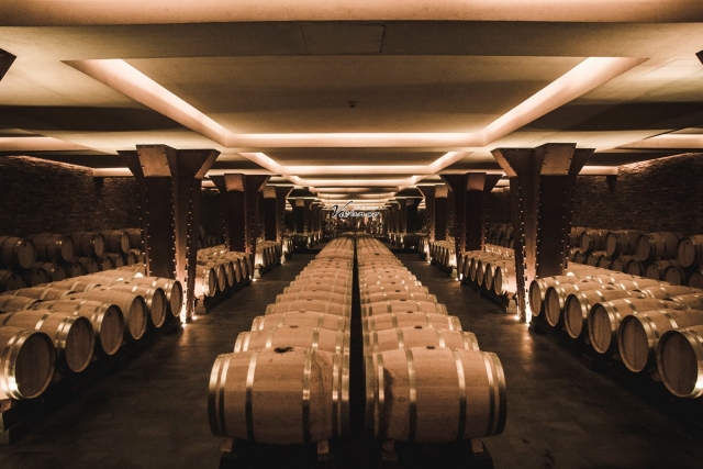 Sala maloláctica