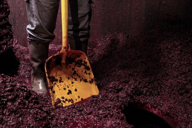 Elaboración del vino