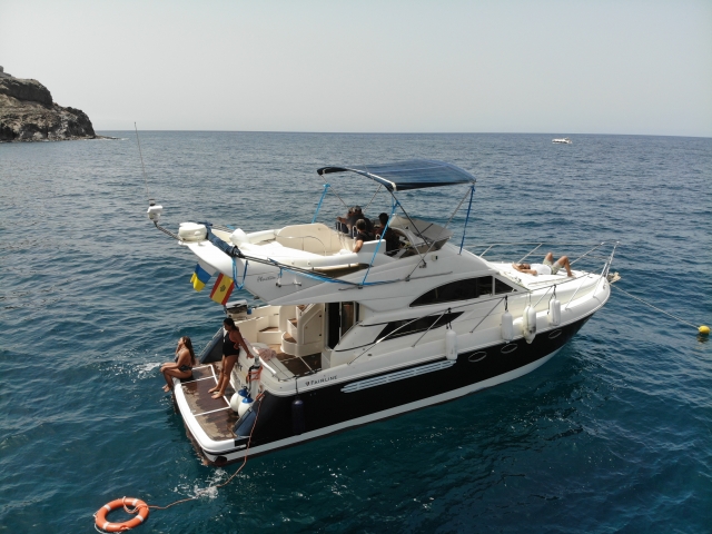  Sur le yacht attendant de voir les cétacés 