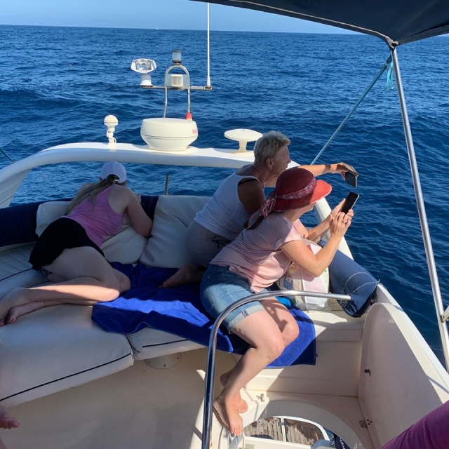  Profiter de la vues confortablement depuis le bateau 