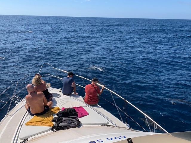  Naviguer aux côtés des dauphins 