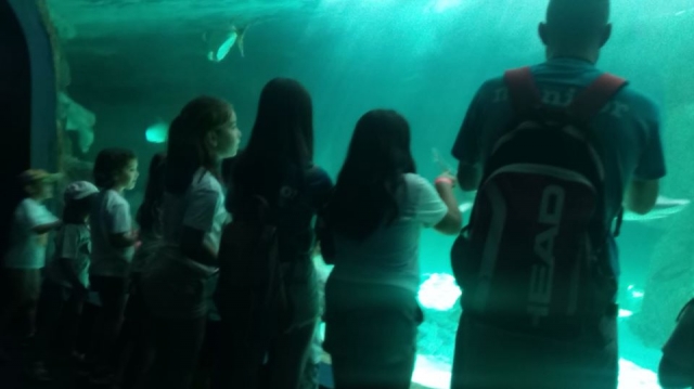 Excursiones inolvidables con el campamento