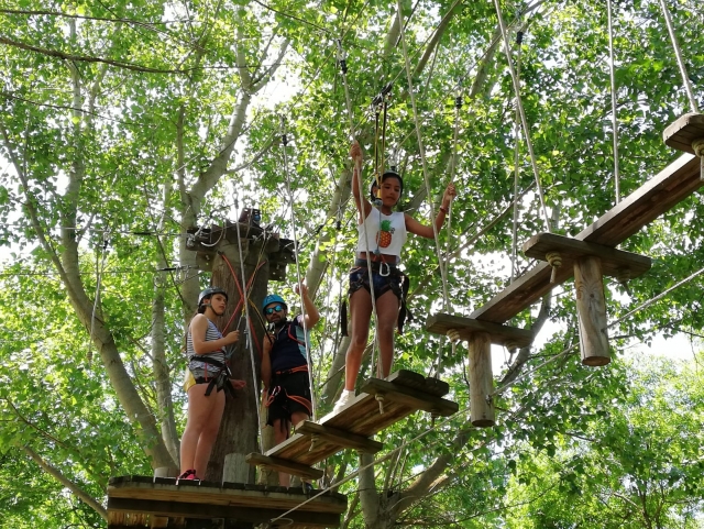 Recorriendo el circuito del árbol
