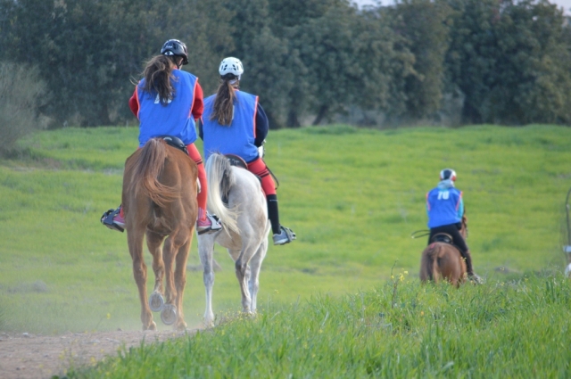  Reitausflug mit Freunden 