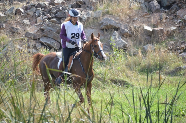  Auf einem Pferd durch die Landschaft reiten 
