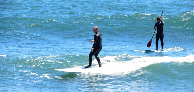  Corsi di surf e paddle surf 
