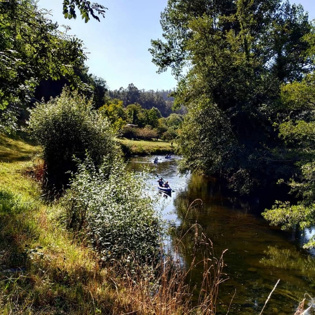 Disfrutando de la naturaleza del río en canoa