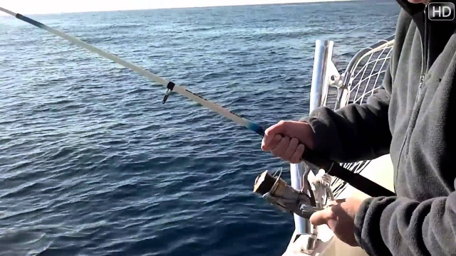  Pêche à Orihuela 
