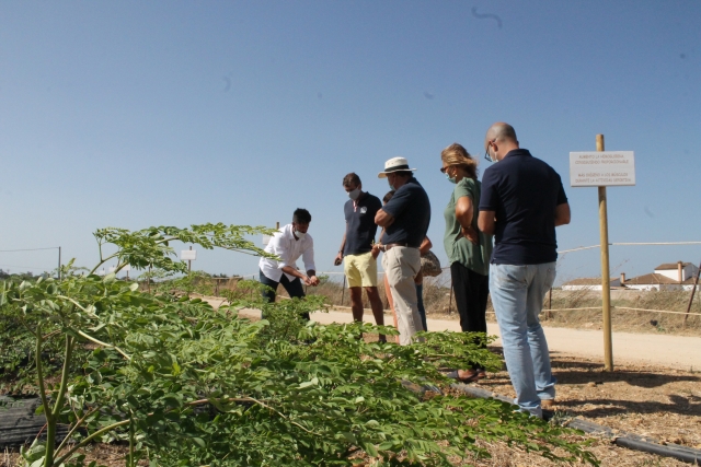 Recorrido por las plantaciones de moringa