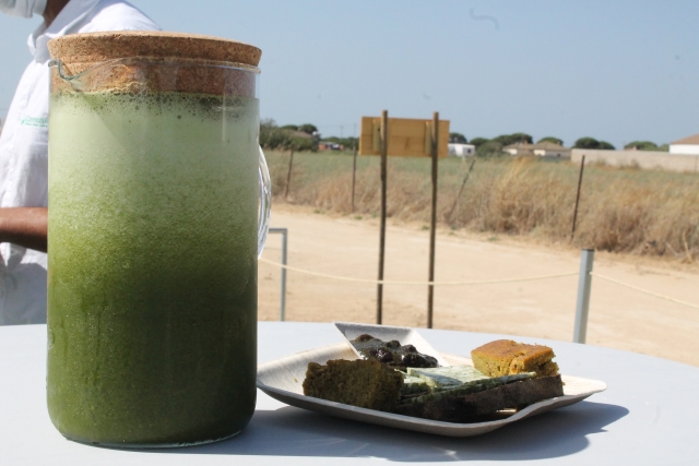 Smoothie de moringa.