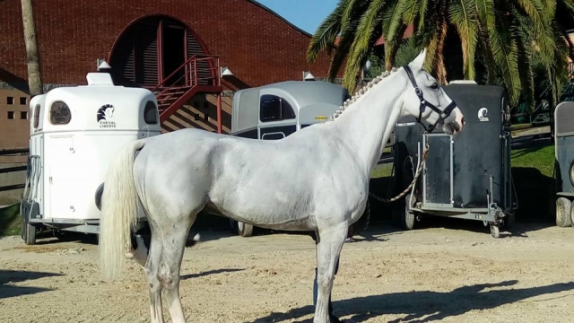  我们美丽的标本之一 