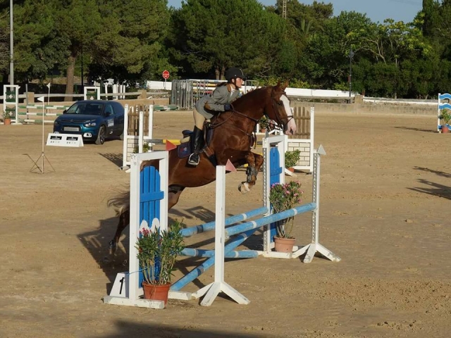  与马一起训练跳跃 