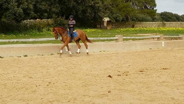  沙道上的马术学生 