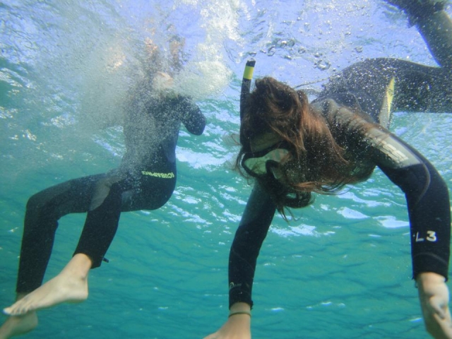  开始在水族馆潜水 