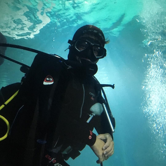  潜水员在水族馆水池中潜水 
