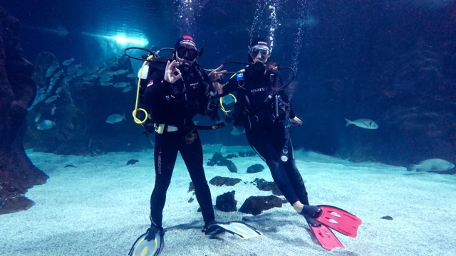  在水族馆里与鲨鱼一起潜水 