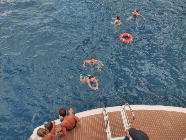 Barca per osservare i delfini a Tenerife 