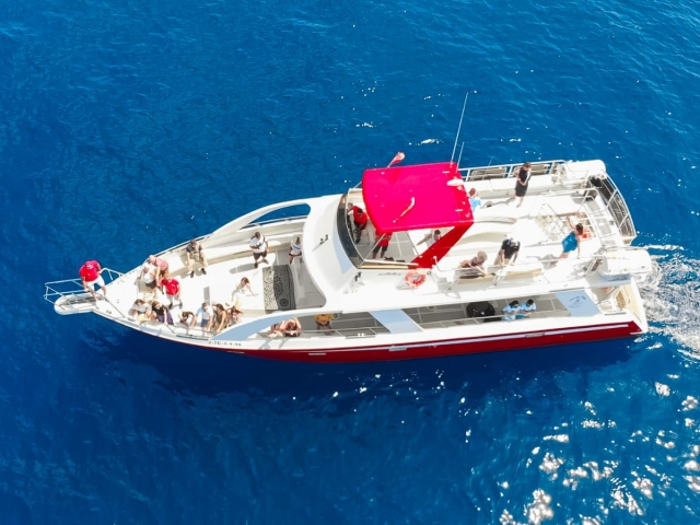  Gita in barca per osservare le balene 