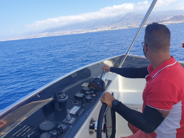  Navigare lungo la costa di Tenerife e ammirare i delfini 
