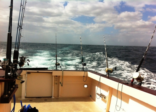 Charter de pesca