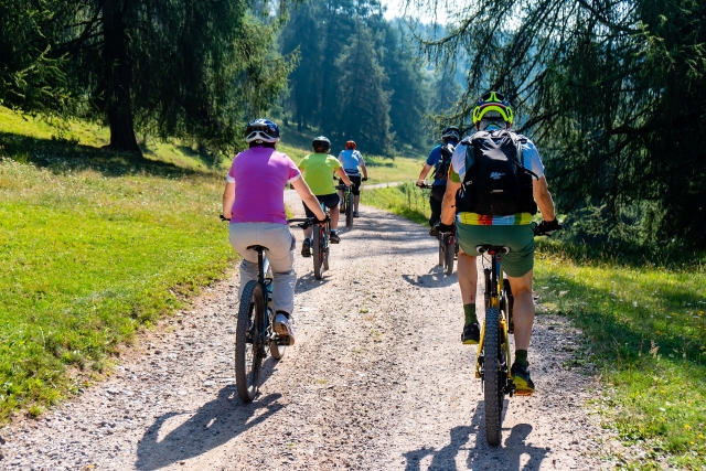 e-19756539-mountain-bike-4370184-192016092369192819.jpg