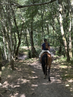 res_o-67494-rutas-a-caballo_de_alejandro-osuna_178731633489.jpeg