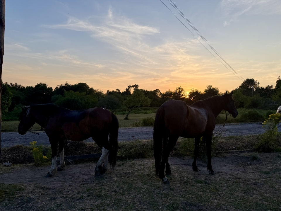 res_o-67138-rutas-a-caballo_de_alberto-fernandez-arguelles_17833591366616.jpeg