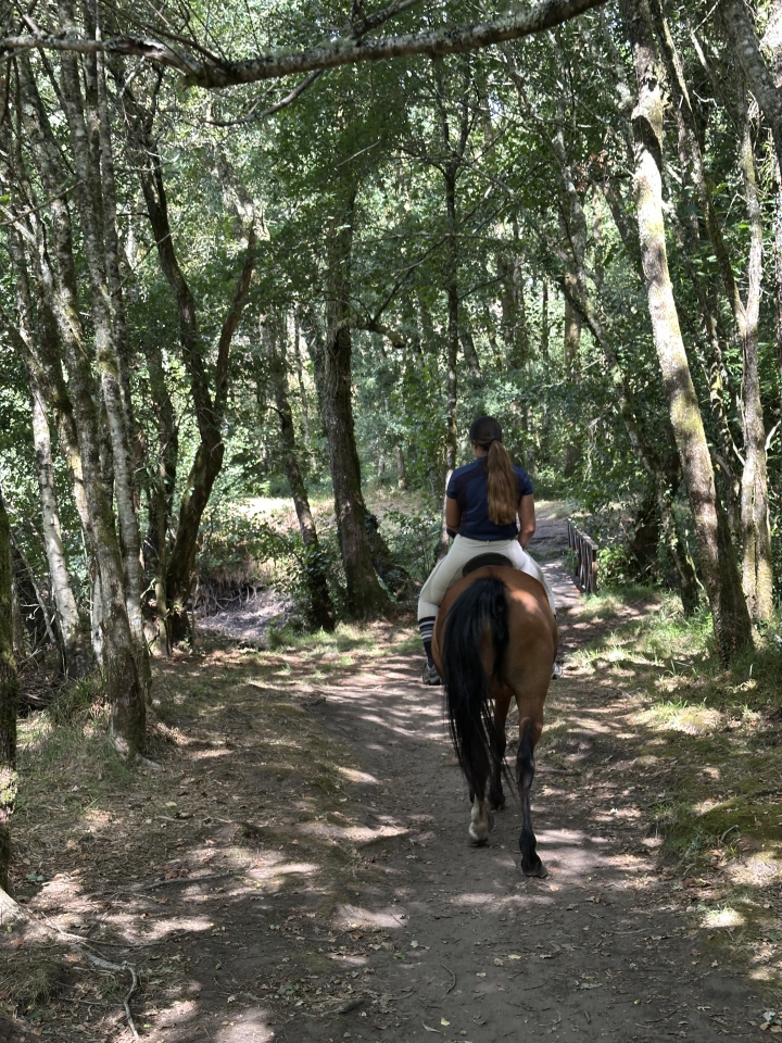 res_o-67494-rutas-a-caballo_de_alejandro-osuna_178731633489.jpeg