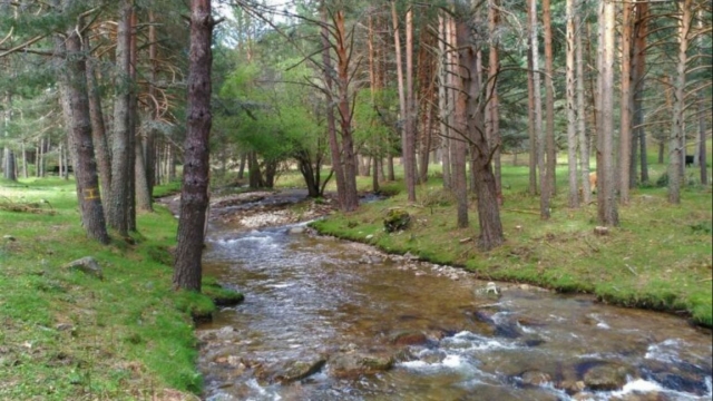 Caminata por el río