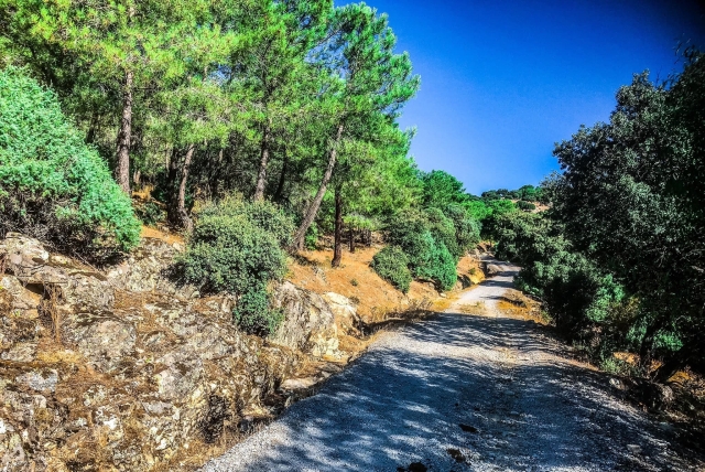 Camino el sierra de Madrid