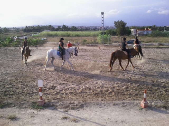 Clase de equitación en Elche