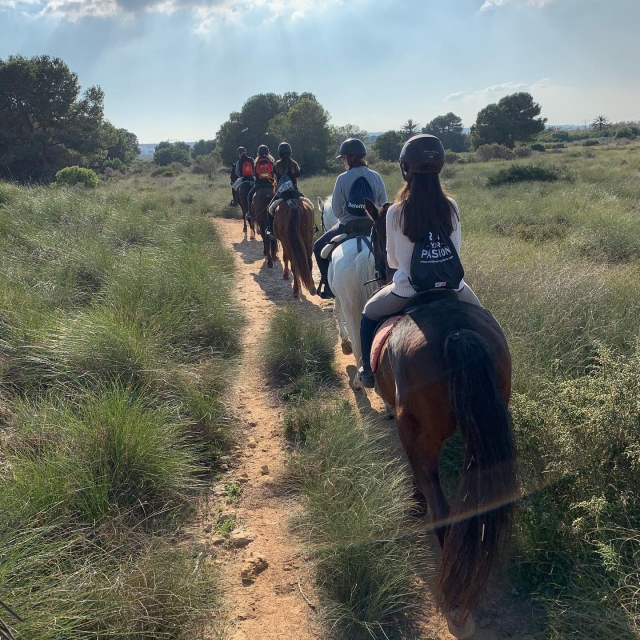 Excursión a caballo en Alicante