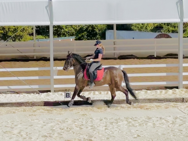  Riding school in Malaga 