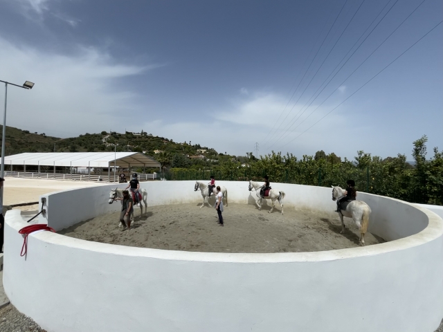 Horse riding classes for all levels 