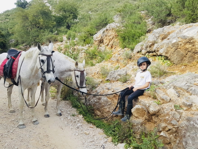  small next to the horses in the field 