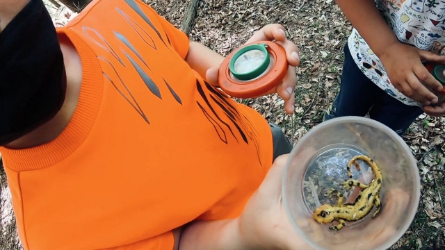 探索营地周边 
