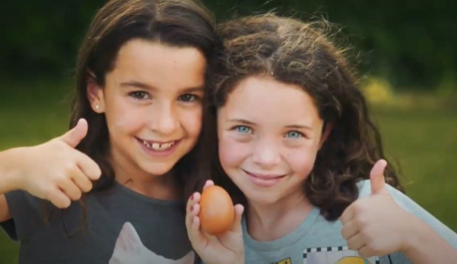  Urban camps in English for children in Madrid