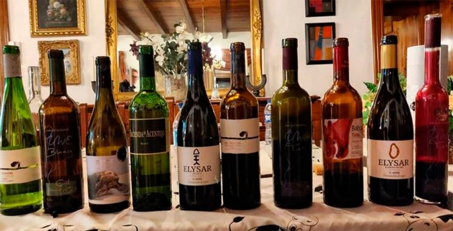 Degustación de diferentes vinos en Acentejo