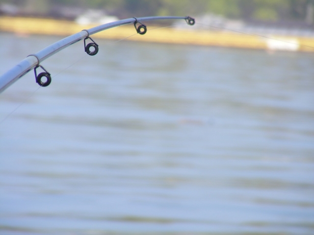  Pesca na Costa Valenciana 