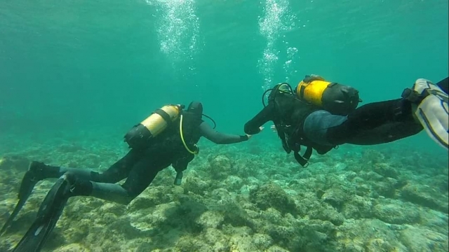  Learning to dive in Fuerteventura 