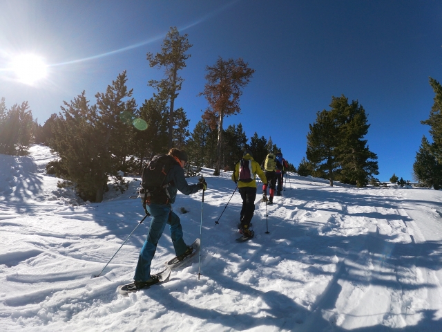 Excursión con raquetas de nieve