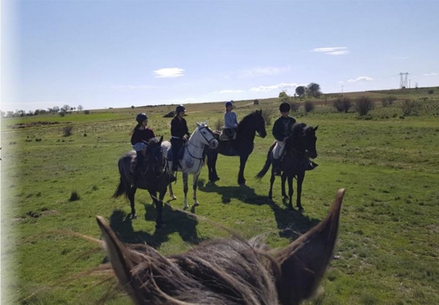  Docile horse ride 