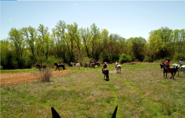  Horse excursion León 